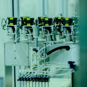 WhatsApp Image 2026-01-16 at 14.51.27 (2)